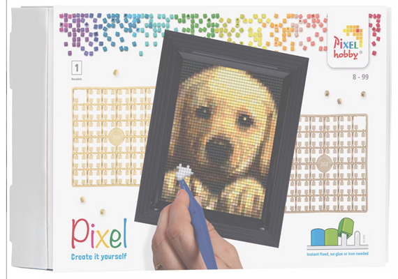 Pixel Geschenkbox mit 24 Pixel Vierecke - Golden Retriever
