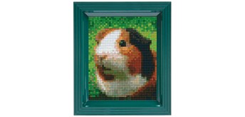 Pixel Geschenkbox mit 40 Pixel Vierecke - Meerschweinchen