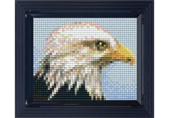 Pixel Geschenkverpackung - Adler mit Rahmen