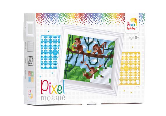 Pixel Geschenkverpackung - Affe mit Rahmen