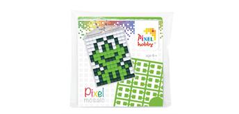Pixel Medaillon-Set Frosch