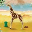 PLAYMOBIL® Wiltopia 71048 Giraffe | Bild 3