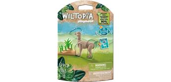 PLAYMOBIL® Wiltopia 71062 Alpaka