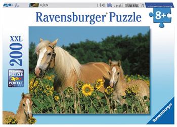 Puzzles 200 - 299 Teile