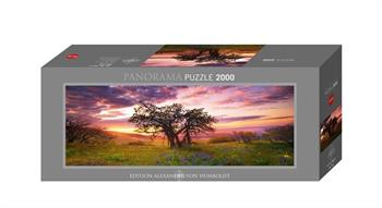 Puzzles 2000 -2999 Teile