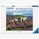 Ravensburger 01751 Puzzle Wildpferde in der Heide