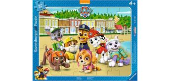 Ravensburger 06155 Paw Patrol Familienfoto 37 Teile