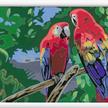 Ravensburger 23684 CreArt - Colorful Macaws | Bild 2
