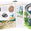 Ravensburger 32856 WWW? - Dinosaurier | Bild 4