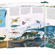 Ravensburger 32856 WWW? - Dinosaurier | Bild 3