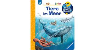 Ravensburger 60054 WWW Tiere im Meer