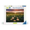 Ravensburger Puzzle 00592 Pusteblumen im Sonnenuntergang