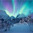 Ravensburger Puzzle 00802 Wenn die Nordlichter tanzen | Bild 2