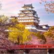 Ravensburger Puzzle 01316 Himeji Castle, Japan | Bild 2
