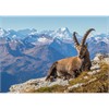 Ravensburger Puzzle 01607 Steinbock im Toggenburg