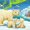 Ravensburger Puzzle 05095 Tierkinder aus aller Welt | Bild 3
