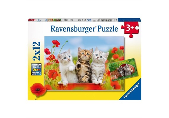 Ravensburger Puzzle 07626 Katzen auf Entdeckungsreise