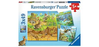 Ravensburger Puzzle 08050 Tiere in ihren Lebensräumen