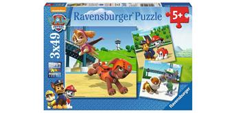 Ravensburger Puzzle 09239 Paw Patrol Team auf vier Pfoten