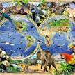Ravensburger Puzzle 10540 Tierisch um die Welt | Bild 2