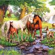 Ravensburger Puzzle 12904 Wildpferde am Fluss | Bild 2