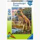 Ravensburger Puzzle 12943 Bunte Savanne