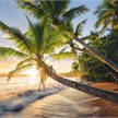 Ravensburger Puzzle 15015 - Strandgeheimnis | Bild 2