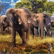 Ravensburger Puzzle 15040 - Elefantenfamilie | Bild 2