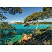 Ravensburger Puzzle 16583 Schöne Aussicht 500 Teile | Bild 2