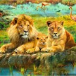 Ravensburger Puzzle 16584 Löwen in der Savanne | Bild 2