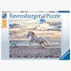 Ravensburger Puzzle 16586 Pferd am Strand