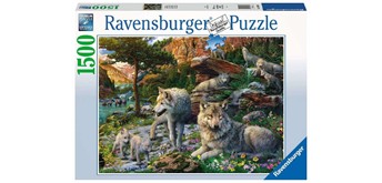 Ravensburger Puzzle 16598 Wolfsrudel im Frühling 1500 Teile
