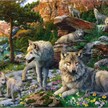 Ravensburger Puzzle 16598 Wolfsrudel im Frühling 1500 Teile | Bild 2