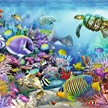Ravensburger Puzzle 16704 Unterwasserwelt 2000 Teile | Bild 2