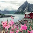 Ravensburger Puzzle 16740 Scandinavian Places 1000 Teile | Bild 2