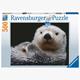 Ravensburger Puzzle 16980 - Süsser kleiner Otter