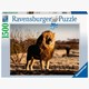 Ravensburger Puzzle 17107 Löwe - Der König der Tiere