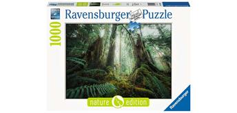 Ravensburger Puzzle 17494 Faszinierender Wald
