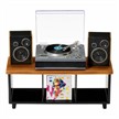 Real Music Record Player | Bild 5