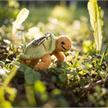 Schaffer-Anhänger Schildkröte "Hilde" | Bild 3