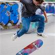Schildkröt Skateboard Kicker 31 Abstract | Bild 3