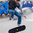 Schildkröt Skateboard Kicker 31 Abstract | Bild 4