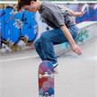 Schildkröt Skateboard Kicker 31 Abstract | Bild 5