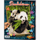 Schipper - Malen nach Zahlen - Pandabären