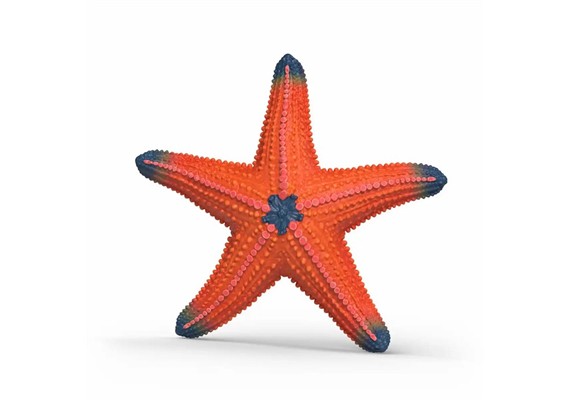 Schleich 14902 Seestern