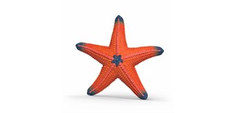 Schleich 14902 Seestern