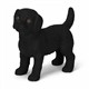Schleich 14922 Schwarzer Labrador Retriever Welpe