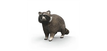 Schleich 14937 Waschbär