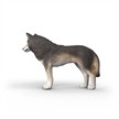 Schleich 14991 Amerikanischer Wolf | Bild 5