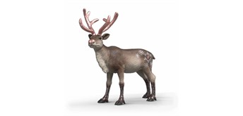 Schleich 75004 Roségoldenes Weihnachtsrentier